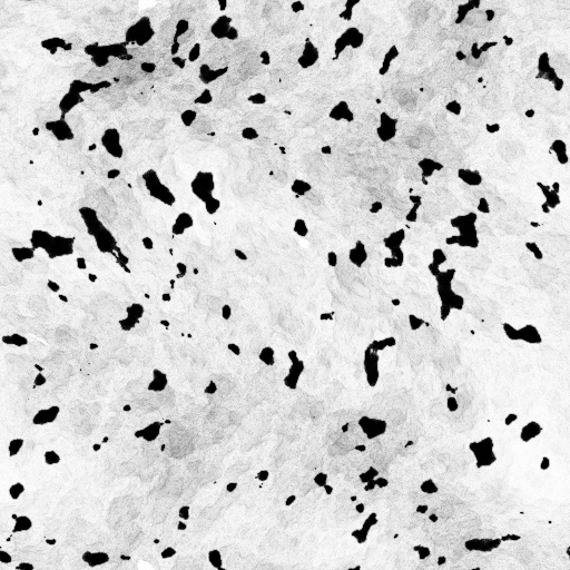 Ambient Occlusion Map