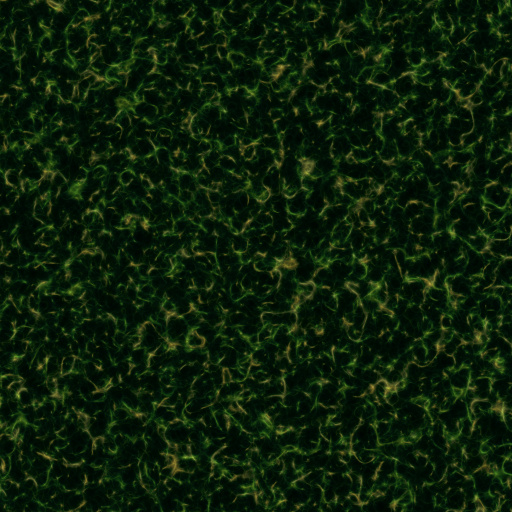 Variation 6