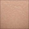 Human Skin