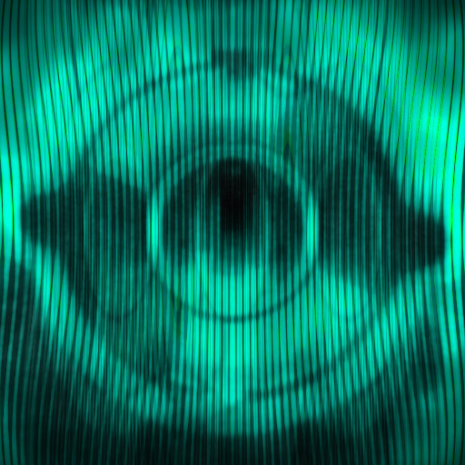 Variation 4