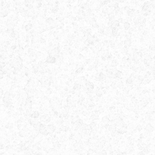 Ambient Occlusion Map