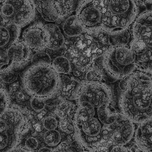Ambient Occlusion Map