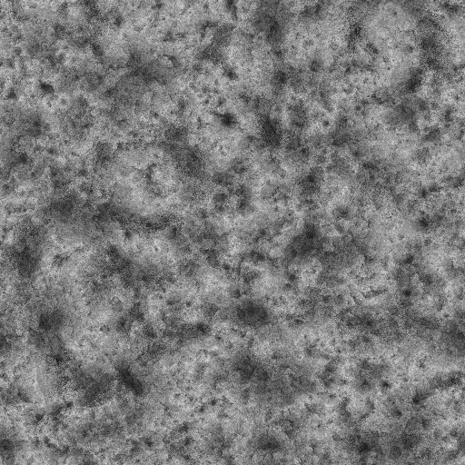 Ambient Occlusion Map