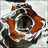 SolarDistorter