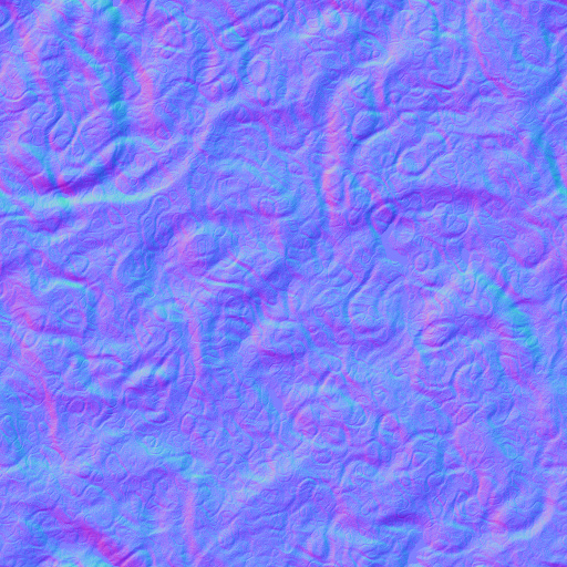 Normal Map