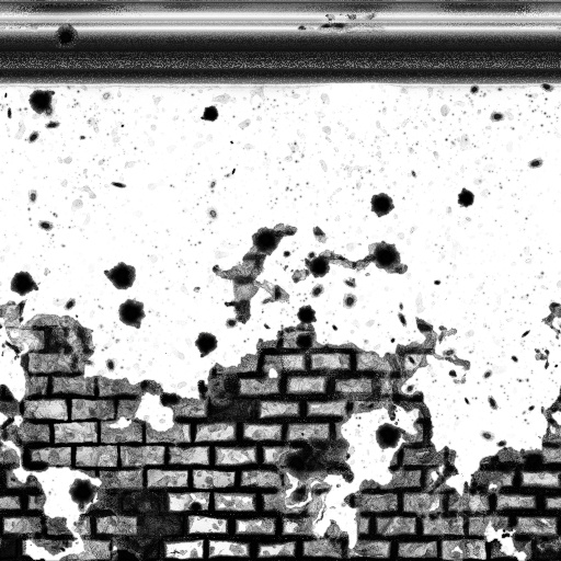 Ambient Occlusion Map