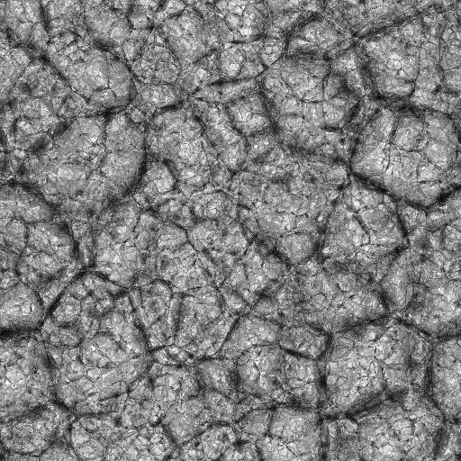 Ambient Occlusion Map