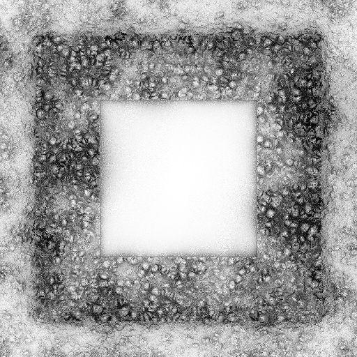 Ambient Occlusion Map