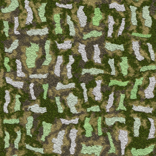 Variation 8