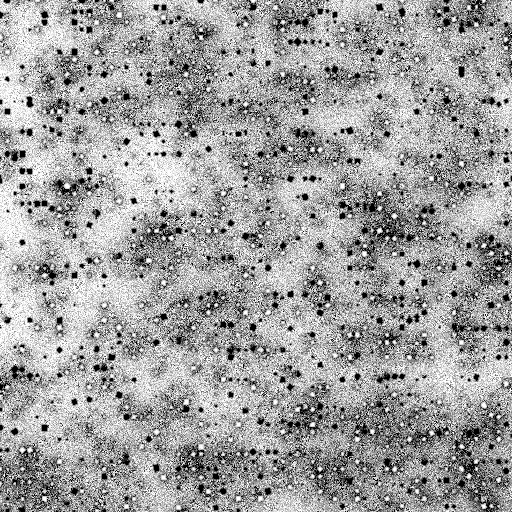 Ambient Occlusion Map