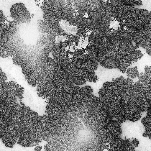 Ambient Occlusion Map