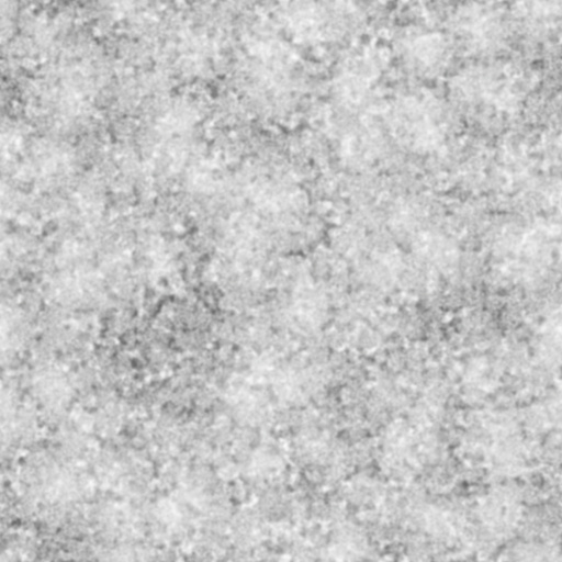 Bump Map
