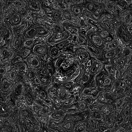 Brainmap (Texture)