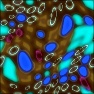 Microscopic Bugs