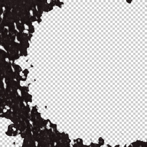 Variation 7