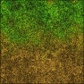 Dirt and Grass