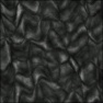 Skin Texture