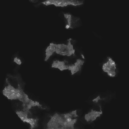 Bump Map