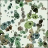 Cells