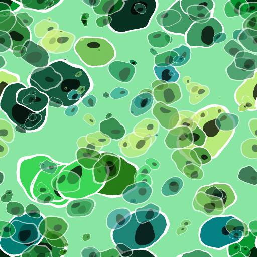 Variation 1