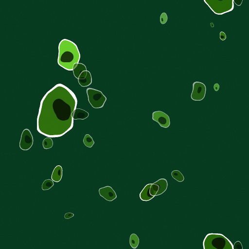 Variation 4