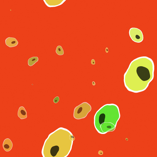 Variation 5