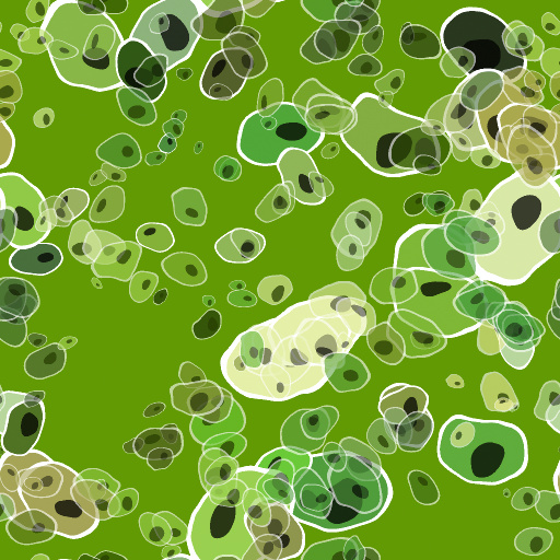 Variation 6