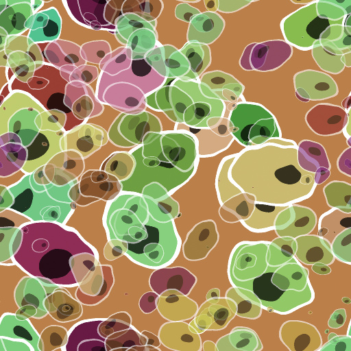 Variation 7