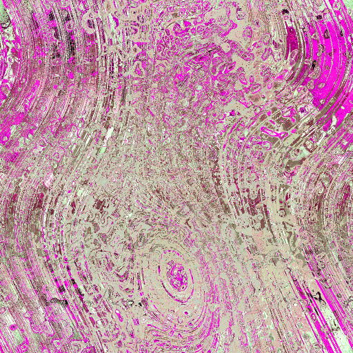 Variation 4