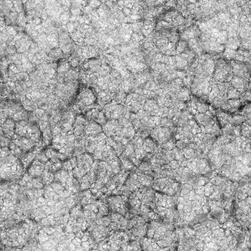 Ambient Occlusion Map