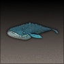 I Dreamt Of Whales
