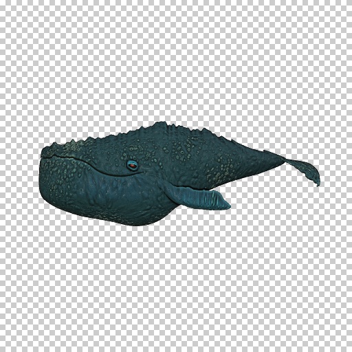 Variation 1