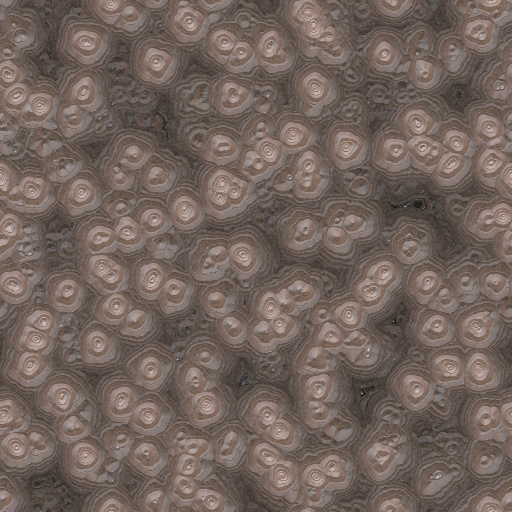 Variation 8