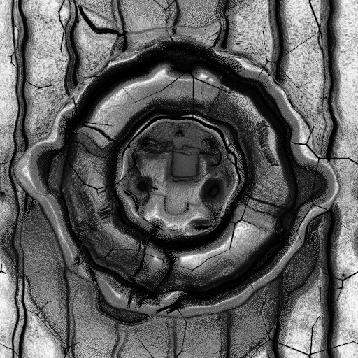 Ambient Occlusion Map