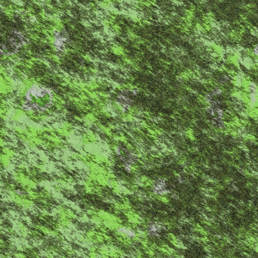 Variation 3