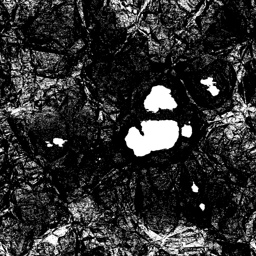 Reflective Occlusion Map