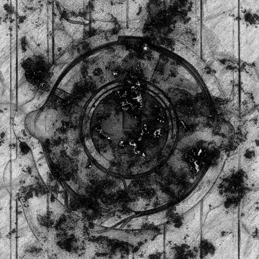 Ambient Occlusion Map