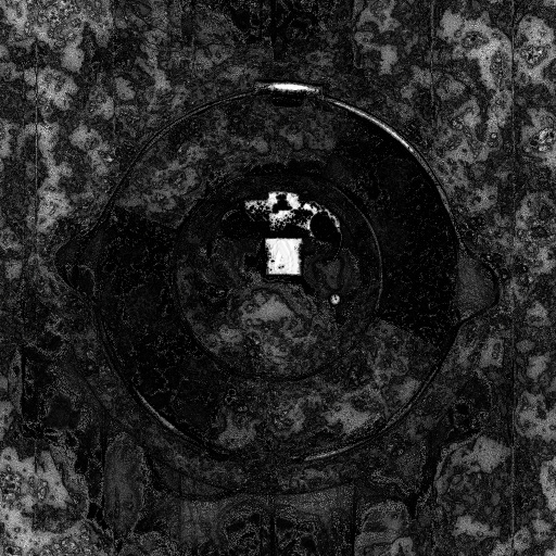 Ambient Occlusion Map