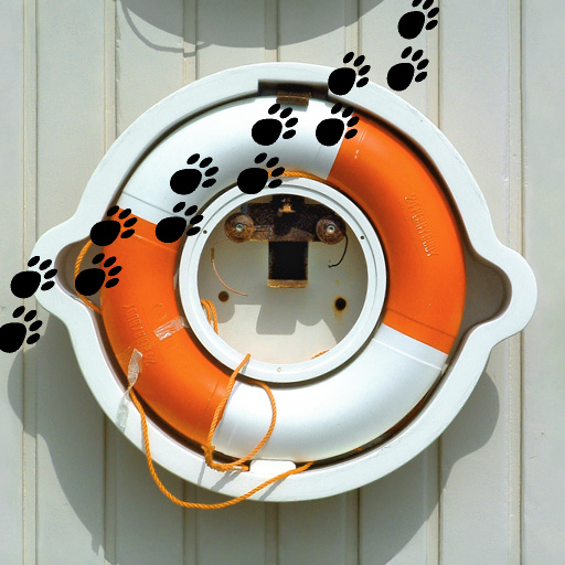 Puppy Prints