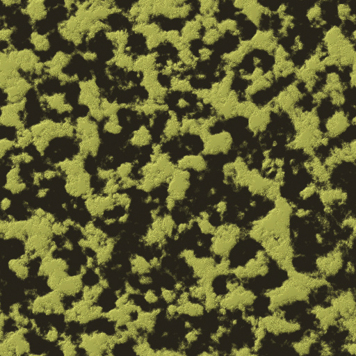 Variation 3
