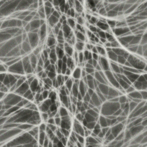 Variation 7