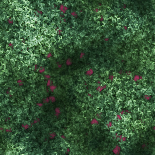 Berry bush (Texture)
