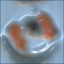 Anilchrome