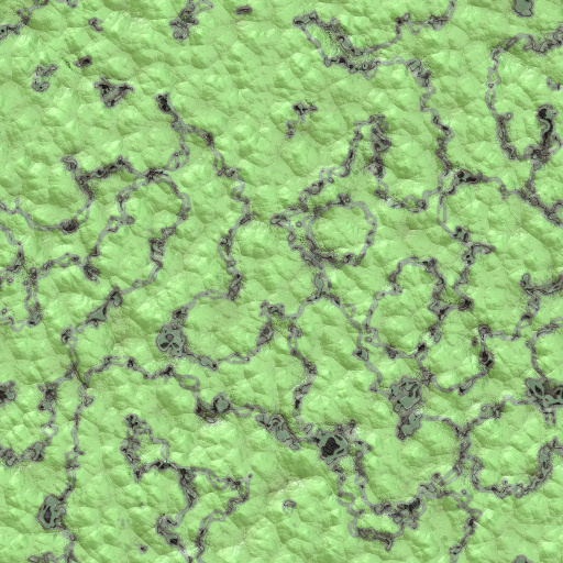 Variation 6