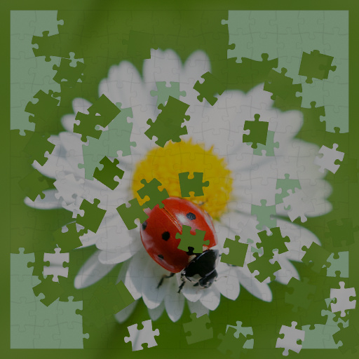 Variation 7