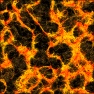 lava