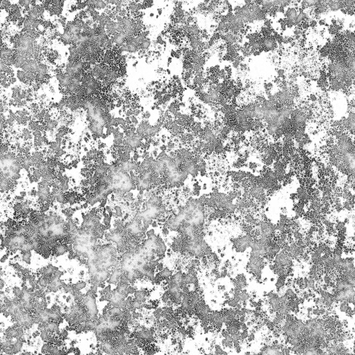 Ambient Occlusion Map