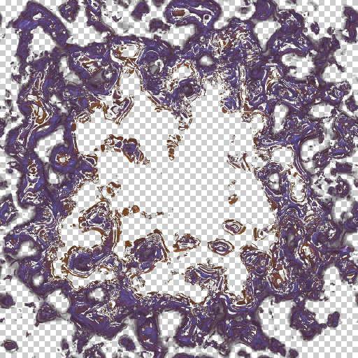 Variation 7
