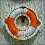 Carved Wood Grain