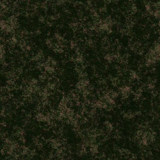 Variation 4